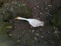 李文全随拍：与故土平行，才是一张信笺应有的辽阔