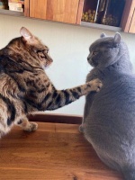 心有大格局，如海纳百川，上善若水