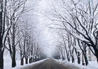 行走在冬的路上