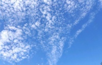 秋叶静美的日子