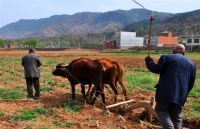 老祖宗俗语：“生七不娶、暗九不过”，啥意思？古人传下来的忌讳