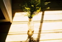 每一次错过，都是为了更好的相遇