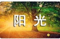 生态园防护护栏围网厂@心一年比一年成熟，感谢这一年的辛苦