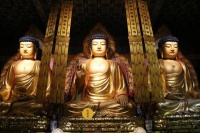 为何人生充满不安？佛陀早已揭示答案！