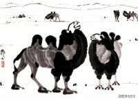 唱响沙漠生命的赞歌