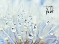 封面夜读｜大胆承认，没有什么可丢人的