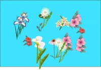 越强大的人，越喜欢沉默寡言