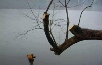 “取”是一种本事，“舍”是一门哲学。人生如何取舍？