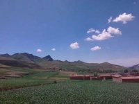 七绝•幽谷乱心