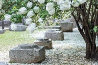 早读：欣赏别人，是一种气度