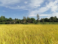 李文全随拍：用思念给老屋，一方情感围脖