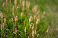 琚建波：被风吹过的故乡｜散文选读