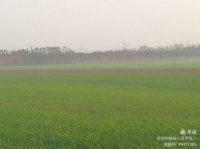 「专栏」任平生作品赏析：《稼穑粱菽心守一》（仄起平收中华通韵）