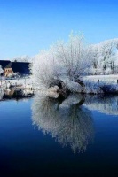 无寐夜冥想/赵寅辰