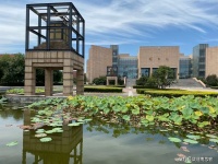 观荷｜赵炜【荐读荐转】