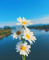 积极关注：如何把坏事夸成好事（二）？