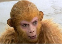 玉帝为啥残忍地放火烧了花果山？你看看那儿藏了啥？细思极恐