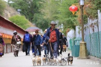 应该如何对待这样的信教徒？