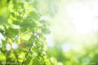 出色印象|致未来的爱情