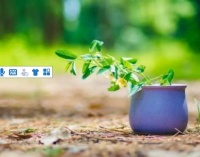 锌钢隔离围栏施工规范@人性差的人是没有福报的