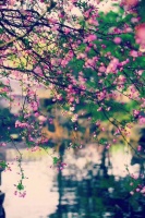 七十年代的乡村冬天黑得特别早，那时候没有电灯