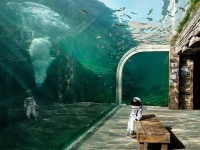 深冬正在迫近，父亲离家