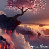 生命应怎样成长呢