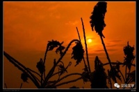 魏俊朝：故乡的冬天｜散文选读