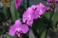 中天易学为你赏析人类生死及伤病灾