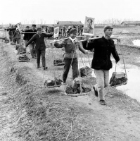 鄂东北的方言俗语