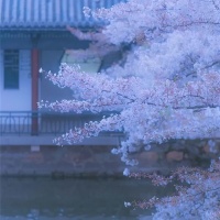 那开不了口怀念的故乡，周作人用了南方的水来赞它。