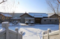 赵黎：书房里的冬阳｜阅读时光