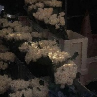 「温柔文案」世界上所有的惊喜与好运都是你积累的温柔和善良