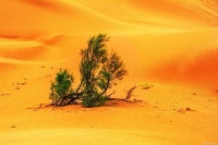 很多时候，人需要逼自己一把，才能走出困境