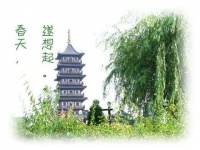 美文悦读——春天，遂想起