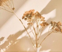 「励志语录」青春里的许多经历，其实是要在多年后显现意义