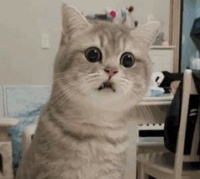 藏在古诗词里的气象知识