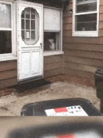 搞笑GIF：兄弟洗洗睡吧，梦里啥都有！