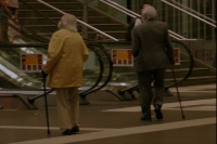 看一遍就会念念不忘的句子