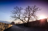 真正的贫穷，不是没钱，不是没房，而是……