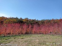 从名字中就能看到她的姻缘奉劝珍惜身边人有些事情错过了就是永远