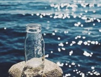 我没有靠山，自己就是山！