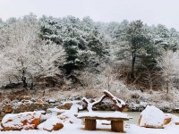 寒冬收到朋友温馨祝福话语