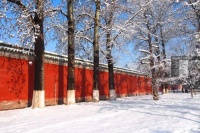 【汽车人】冬日物语