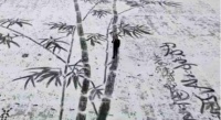 小学老师雪地中扫出巨幅雪竹图：艺术学习的春天不会远离孩子！