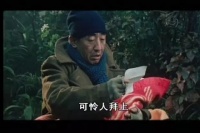 豆瓣8.3分，《酒干倘卖无》催泪的真挚亲情，值得大家再看一次！