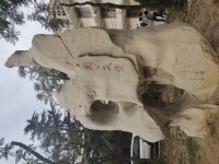 诗词与人生          不是爱风尘