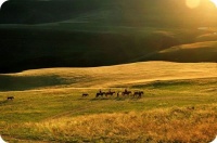 漫漫人生路，总会错两步