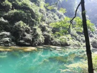 潭深不见鱼，水静岸花舒