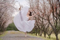 你是我的此生不换,我是你的思念百遍